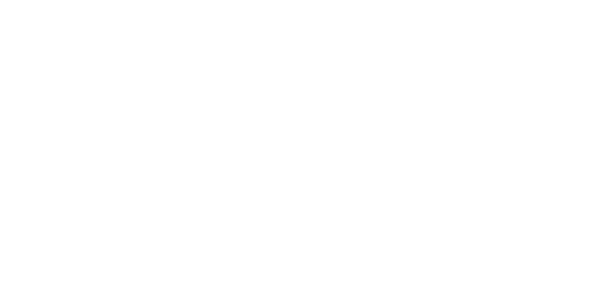 وائس پی logo
